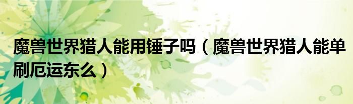 魔兽世界猎人能用锤子吗(魔兽世界猎人能单刷厄运东么)