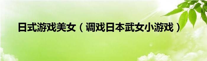 日式游戏美女（调戏日本武女小游戏）