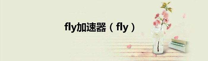 fly加速器(fly)