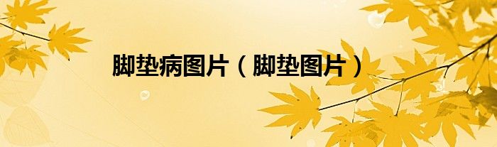 脚垫病图片(脚垫图片)