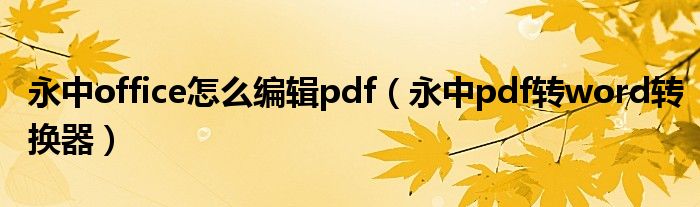 永中office怎么编辑pdf(永中pdf转word转换器)