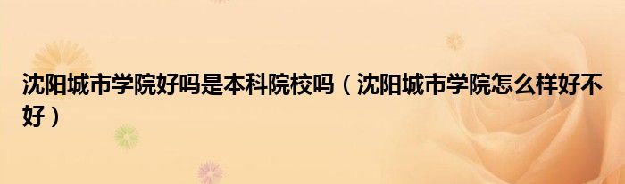 沈阳城市学院好吗是本科院校吗(沈阳城市学院怎么样好不好)