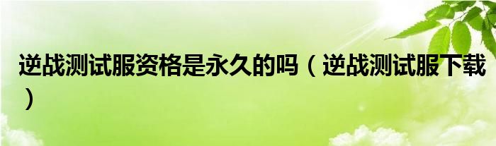 逆战测试服资格是永久的吗(逆战测试服下载)