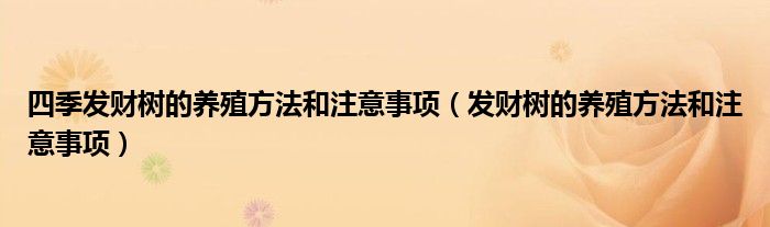 四季发财树的养殖方法和注意事项(发财树的养殖方法和注意事项)