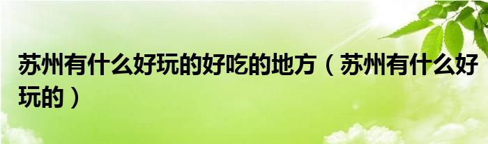 苏州有什么好玩的好吃的地方(苏州有什么好玩的)