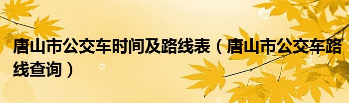 唐山市公交车时间及路线表(唐山市公交车路线查询)