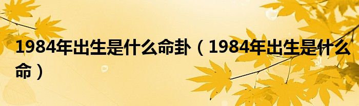 1984年出生是什么命卦(1984年出生是什么命)