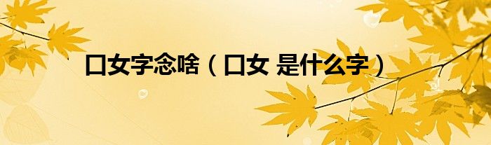 口女字念啥(口女 是什么字)