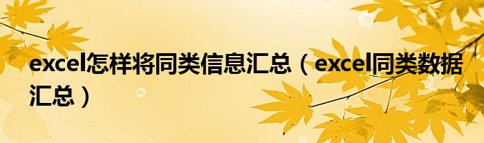 excel怎样将同类信息汇总(excel同类数据汇总)