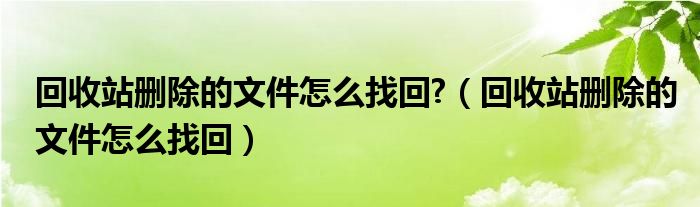 回收站删除的文件怎么找回?(回收站删除的文件怎么找回)