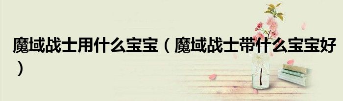 魔域战士用什么宝宝(魔域战士带什么宝宝好)