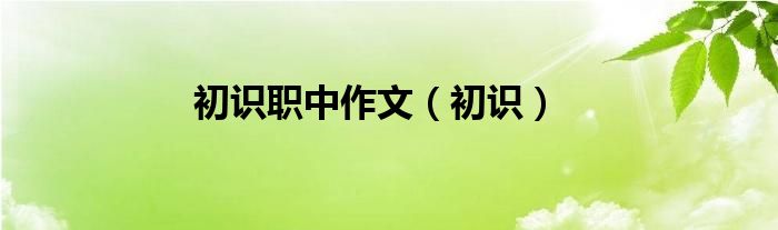 初识职中作文（初识）