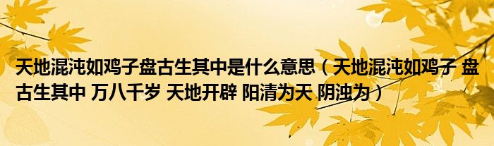 天地混沌如鸡子盘古生其中是什么意思(天地混沌如鸡子 盘古生其中 万八千岁 天地开辟 阳清为天 阴浊为)
