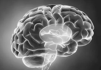 前足球运动员的脑损伤与血管和大脑变化有关