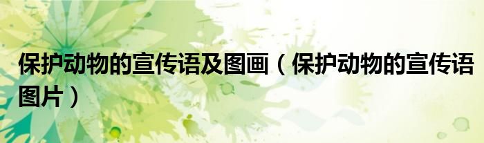 保护动物的宣传语及图画(保护动物的宣传语图片)