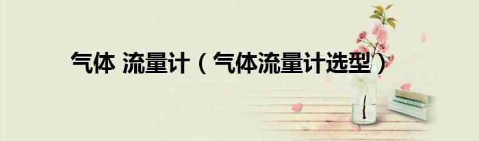 气体 流量计(气体流量计选型)
