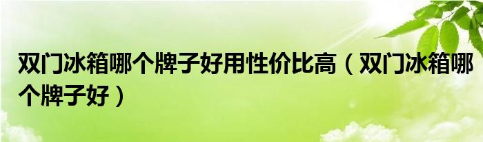 双门冰箱哪个牌子好用性价比高(双门冰箱哪个牌子好)