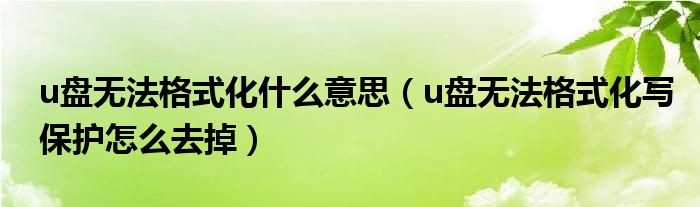 u盘无法格式化什么意思(u盘无法格式化写保护怎么去掉)