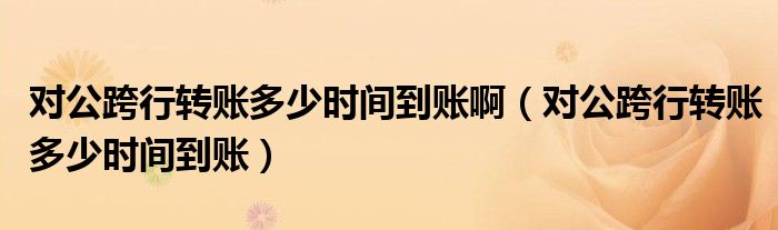 对公跨行转账多少时间到账啊(对公跨行转账多少时间到账)