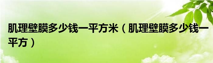 肌理壁膜多少钱一平方米(肌理壁膜多少钱一平方)