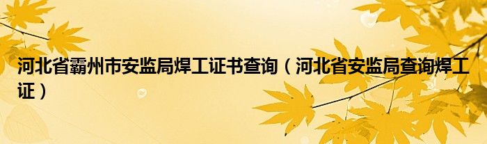 河北省霸州市安监局焊工证书查询（河北省安监局查询焊工证）