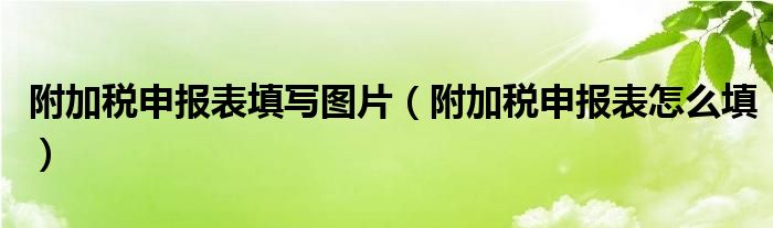 附加税申报表填写图片（附加税申报表怎么填）