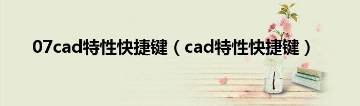 07cad特性快捷键（cad特性快捷键）