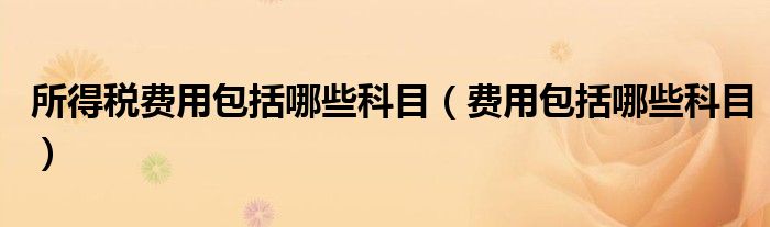所得税费用包括哪些科目(费用包括哪些科目)