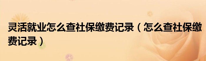 灵活就业怎么查社保缴费记录(怎么查社保缴费记录)