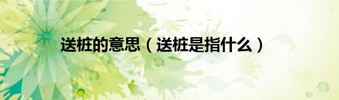 送桩的意思(送桩是指什么)