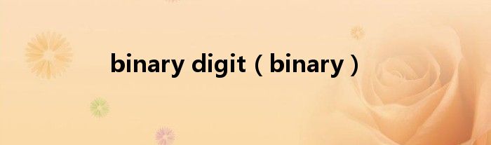 binary digit（binary）