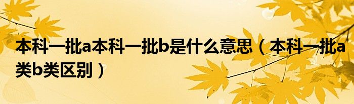 本科一批a本科一批b是什么意思(本科一批a类b类区别)