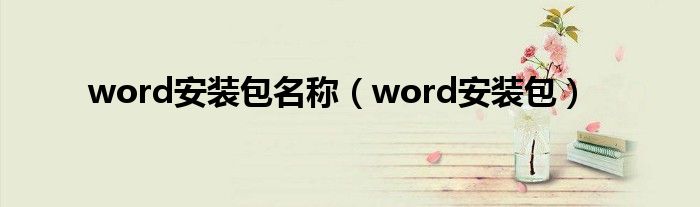 word安装包名称(word安装包)