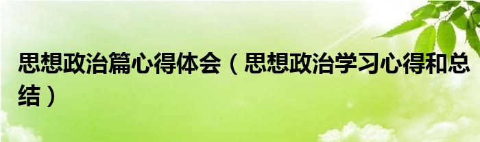 思想政治篇心得体会(思想政治学习心得和总结)