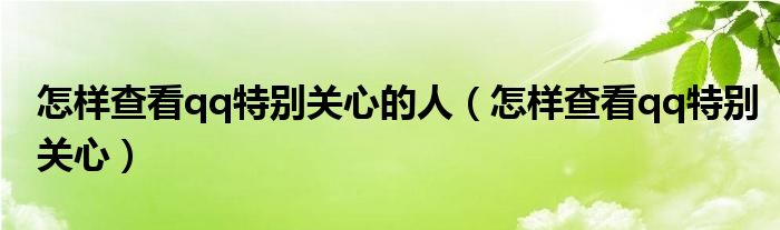 怎样查看qq特别关心的人（怎样查看qq特别关心）