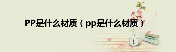 PP是什么材质(pp是什么材质)