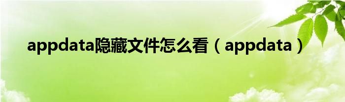 appdata隐藏文件怎么看(appdata)