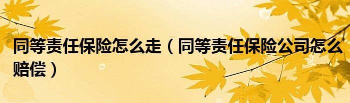 同等责任保险怎么走(同等责任保险公司怎么赔偿)