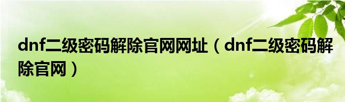 dnf二级密码解除官网网址(dnf二级密码解除官网)