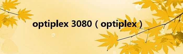 optiplex 3080（optiplex）