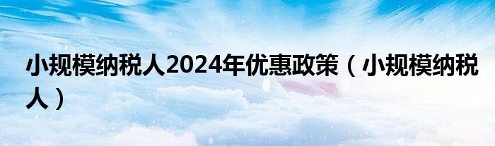 小规模纳税人2024年优惠政策(小规模纳税人)