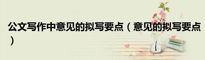 公文写作中意见的拟写要点(意见的拟写要点)