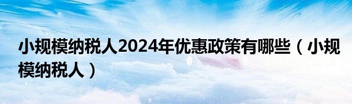 小规模纳税人2024年优惠政策有哪些(小规模纳税人)