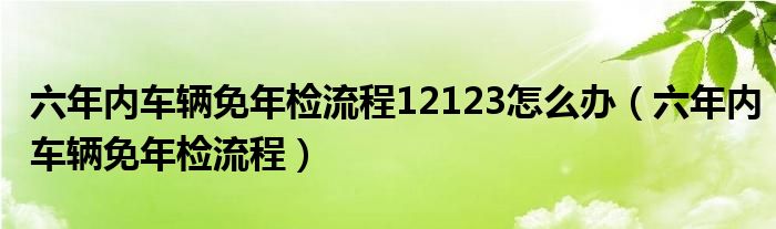 六年内车辆免年检流程12123怎么办(六年内车辆免年检流程)
