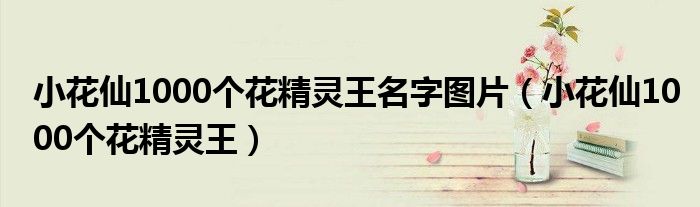 小花仙1000个花精灵王名字图片(小花仙1000个花精灵王)