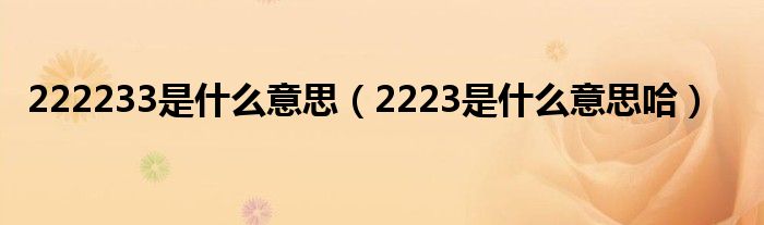 222233是什么意思(2223是什么意思哈)