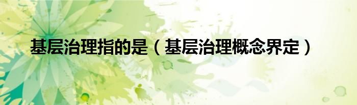 基层治理指的是(基层治理概念界定)