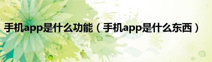 手机app是什么功能(手机app是什么东西)
