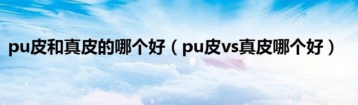 pu皮和真皮的哪个好(pu皮vs真皮哪个好)