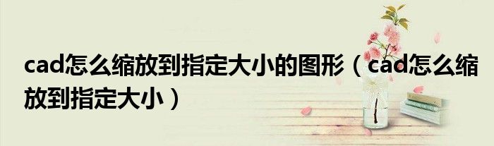 cad怎么缩放到指定大小的图形(cad怎么缩放到指定大小)